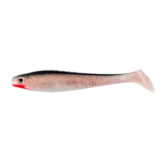 Ripper Longinus Red Shiner, 8cm (3ks)